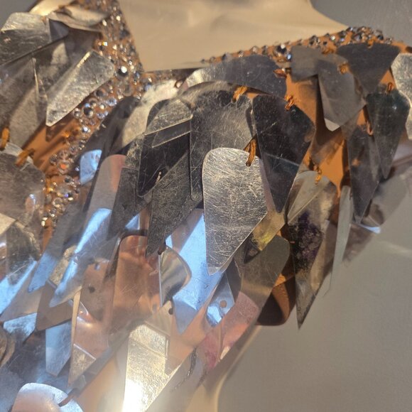 VESA SILVER FRINGE LATIN RHYTHM BALLROOM DRESS - Picture 12 of 13